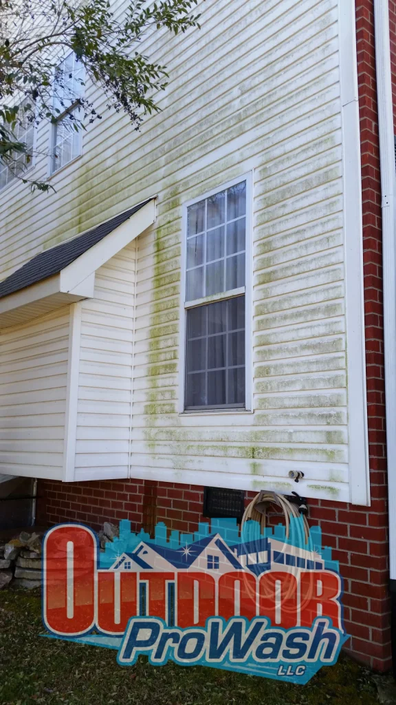 A house with green algae growing on the outside of it.