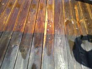 Deck Staining Nashville