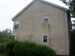 Siding Cleaning