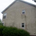 vinyl siding cleaning