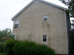 vinyl siding cleaning