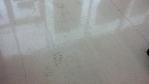 Dirty VCT Tile Waxed Floor