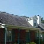 Black Streaks on Roof and Green Stuff on Siding